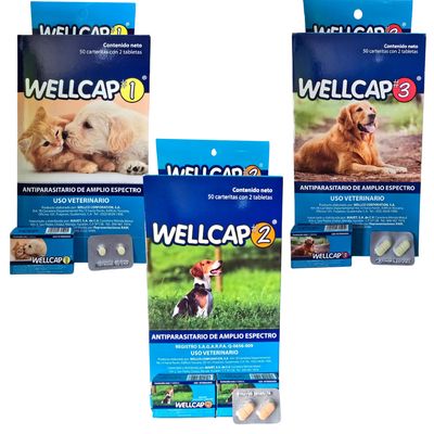 Wellcap Tabletas