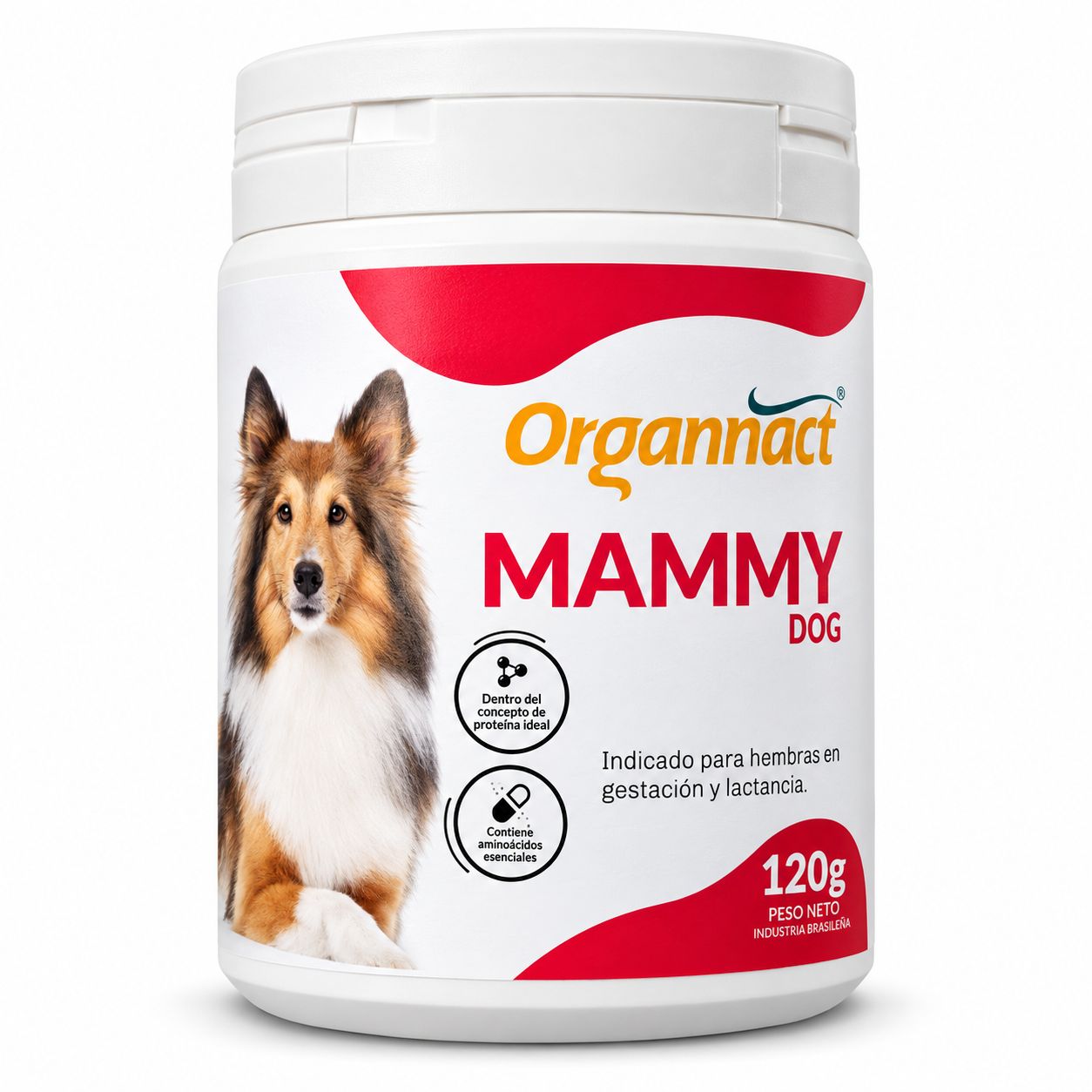 Mammy Dog 