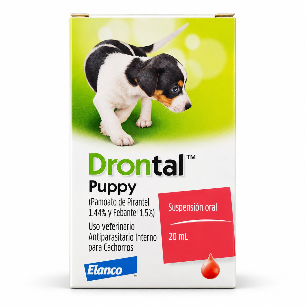 Drontal Puppy