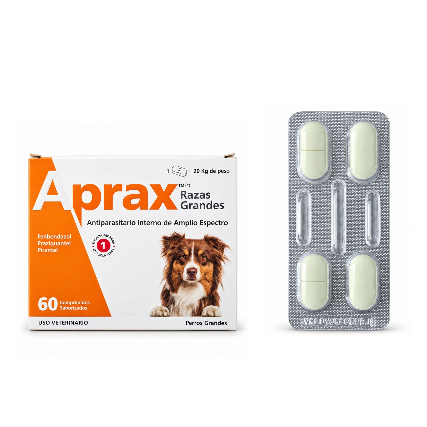 Aprax Razas Grandes