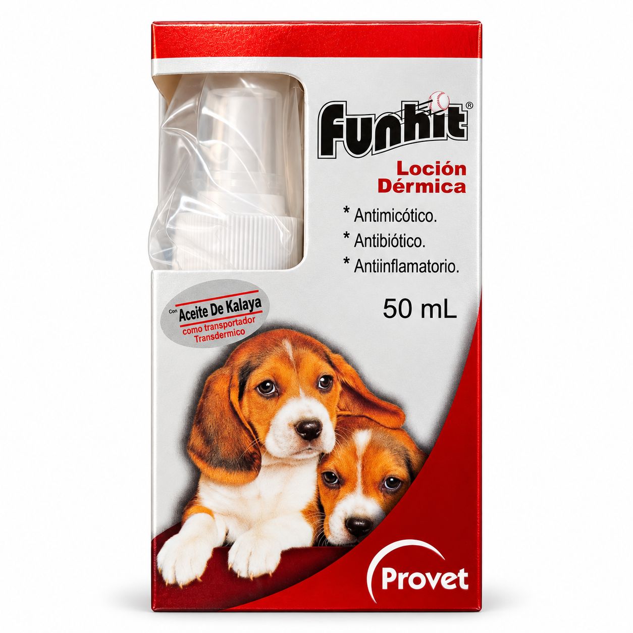 Funhit