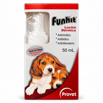 Funhit