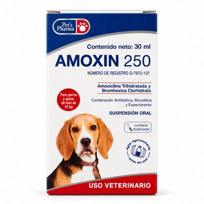 Amoxin 250