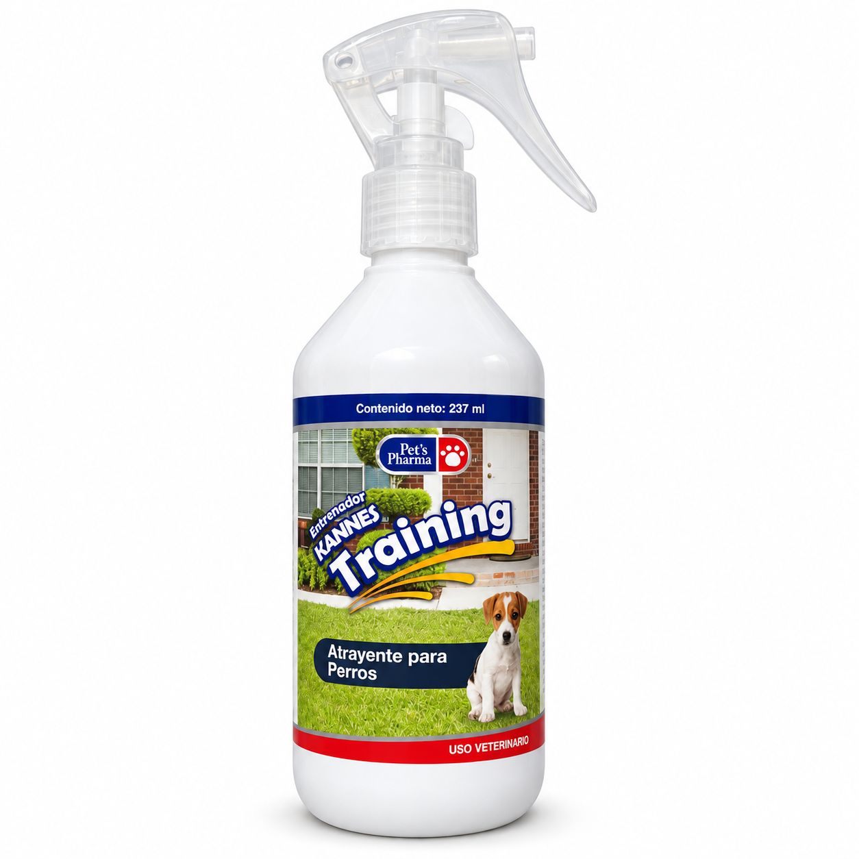 Entrenador Kannes