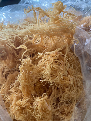 100% Wildcrafted Sea Moss