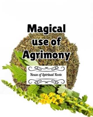 Magickal Use of Agrimony Herb