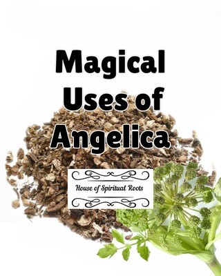 Magical uses of Angelica