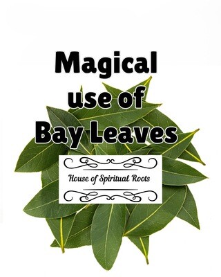 Magical use of Bay Leaves