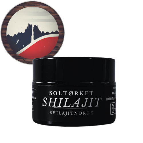 Shilajit Resin - 30 Gram