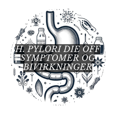 Oppdag hvordan du kan håndtere H. pylori die off symptomer og bivirkninger. Lær om effektive metoder for detoxifisering, inkludert bruk av shilajit med 80% fulvinsyre som et naturlig bindemiddel for å eliminere giftstoffer. Få innsikt i støtte av kroppens detoxifiseringsorganer som lever og lymfesystem for å redusere Herx-reaksjoner. Forbedre din fordøyelseshelse og minimere ubehag under renselsesprotokoller.
