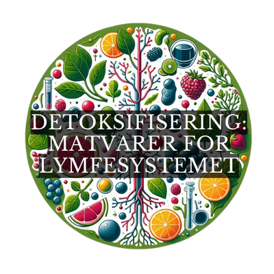 lymfesystem, mat for lymfesystemet, lymfatisk helse, detox, Shilajit, fulvinsyre, lymfedrenering, antioksidanter