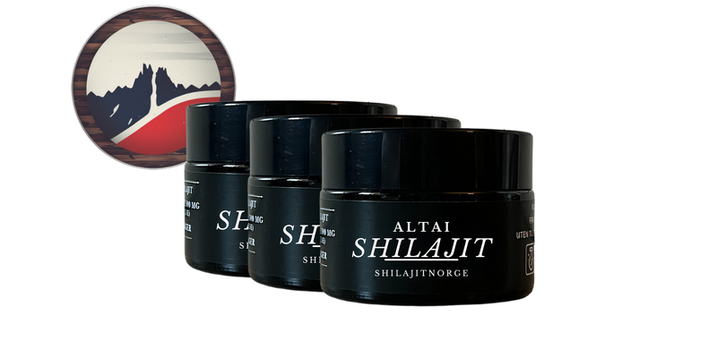 3x Altai Shilajit - 100 Gram