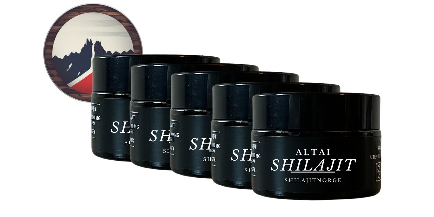 5x Altai Shilajit - 100 Gram