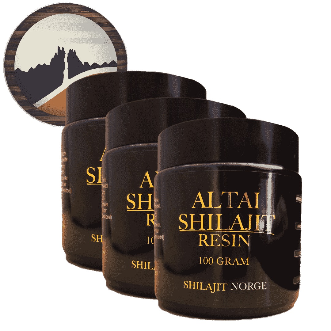 3x Altai Shilajit - 100 Gram