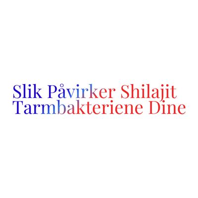 Slik Påvirker Shilajit Tarmbakteriene Dine