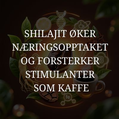 Slik kan Shilajit hjelpe kroppen med økt nærings opptak og forsterke stimulanter som kaffe