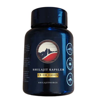 Altai Shilajit Kapsler