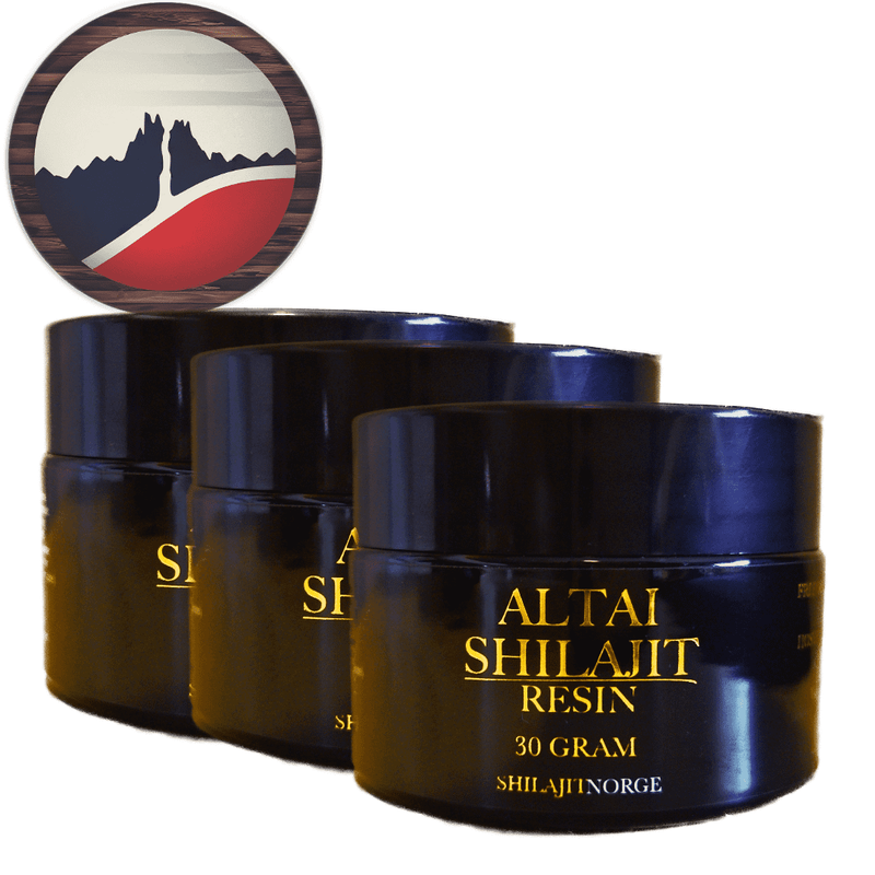3x Altai Shilajit - 30 Gram