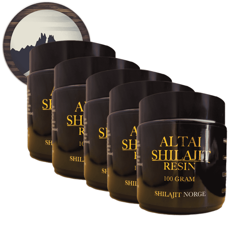 5x Altai Shilajit - 100 Gram