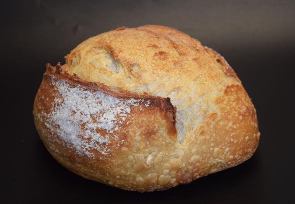 PETIT BATARD BLÉ BLANC