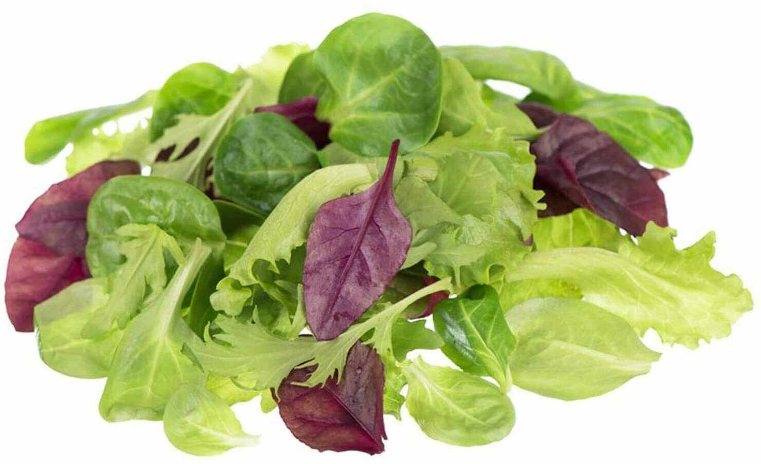 SALADE MESCLUN MIX