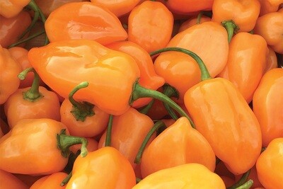 Habanero Kabal