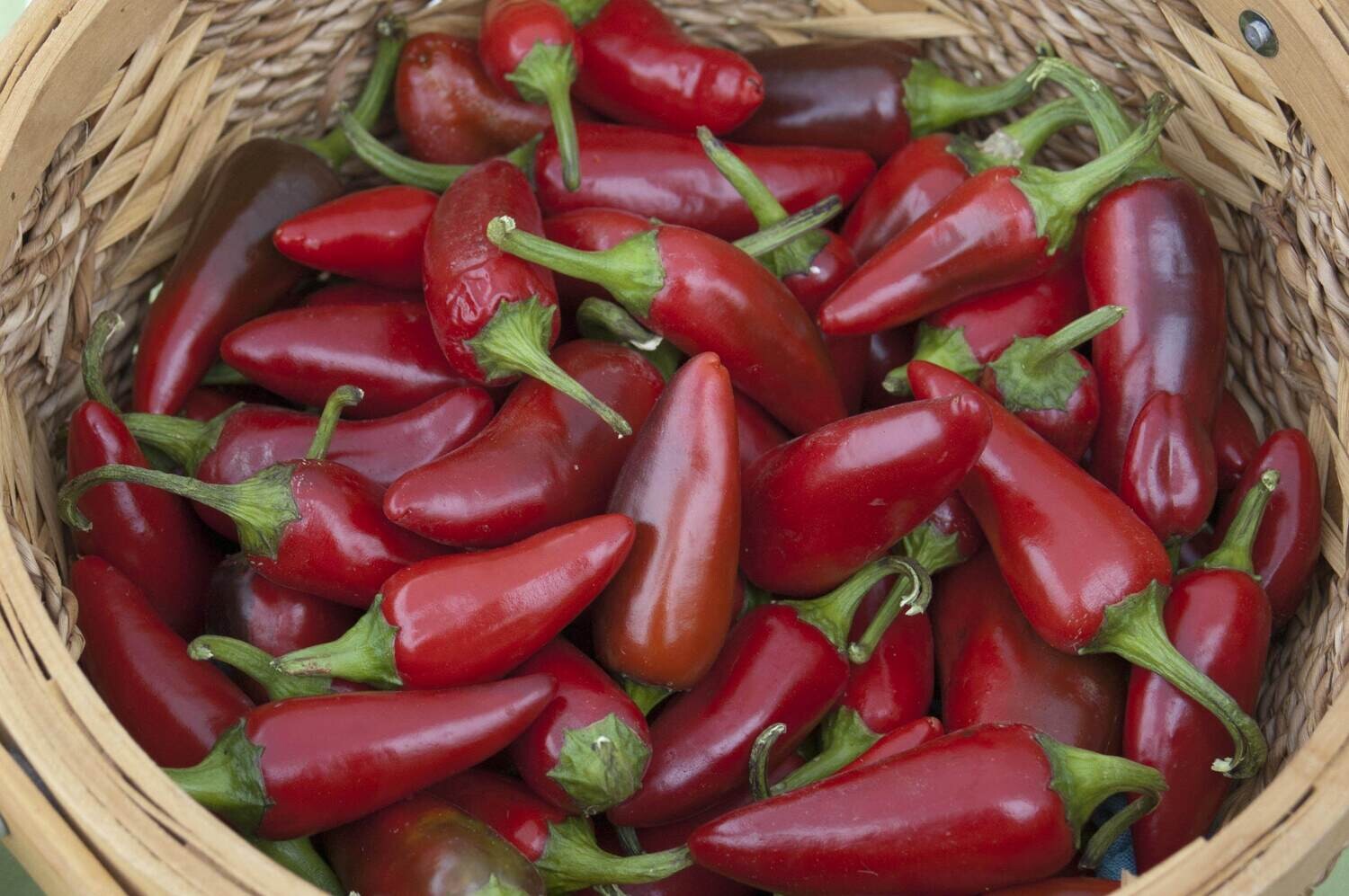 Piment Jalapeño Sriracha - Modérément Piquant et Savoureux | La Famille Artisane