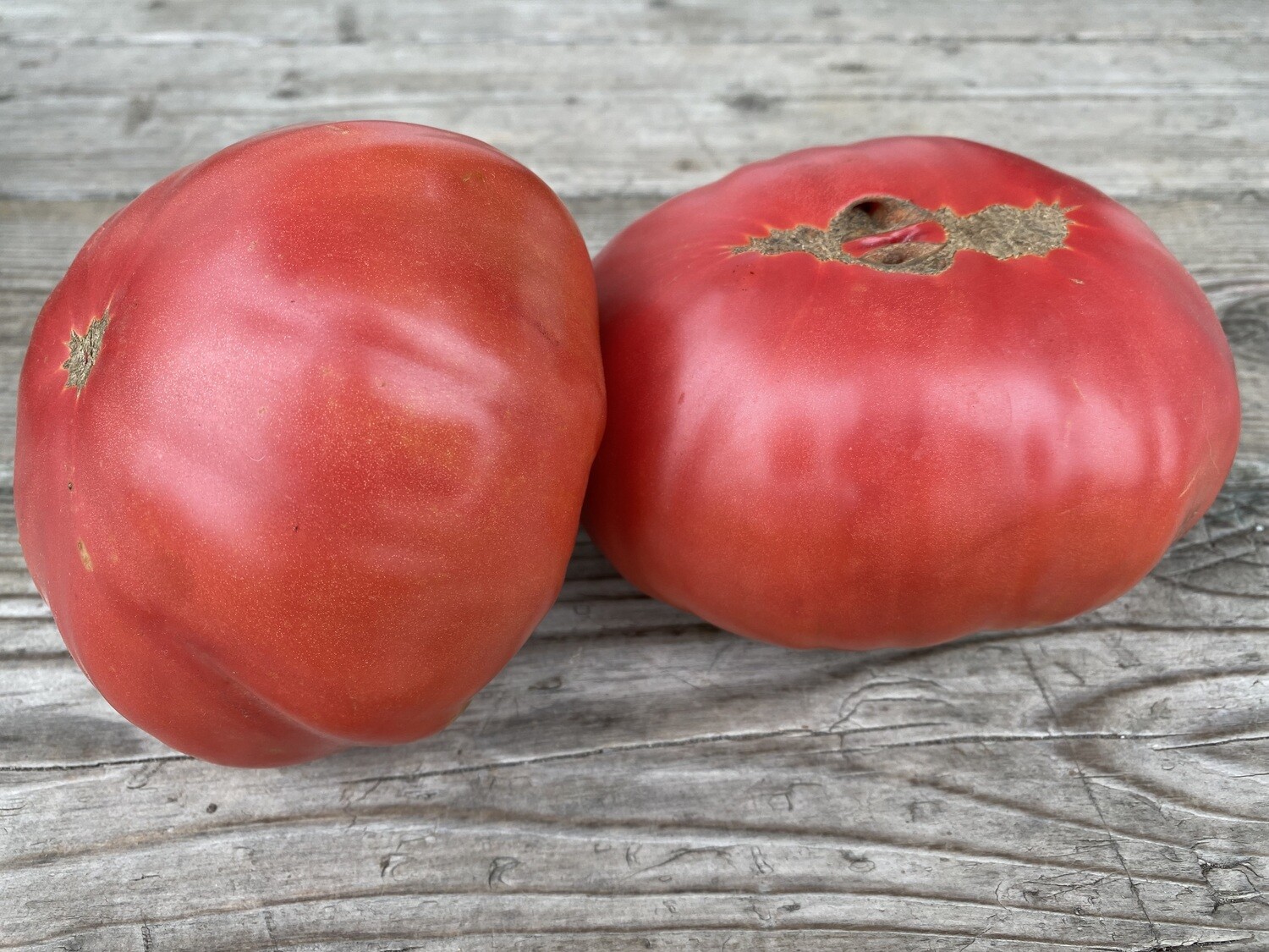 Tomate Brandywine Ancestrale - Authentique et Savoureuse | La Famille Artisane