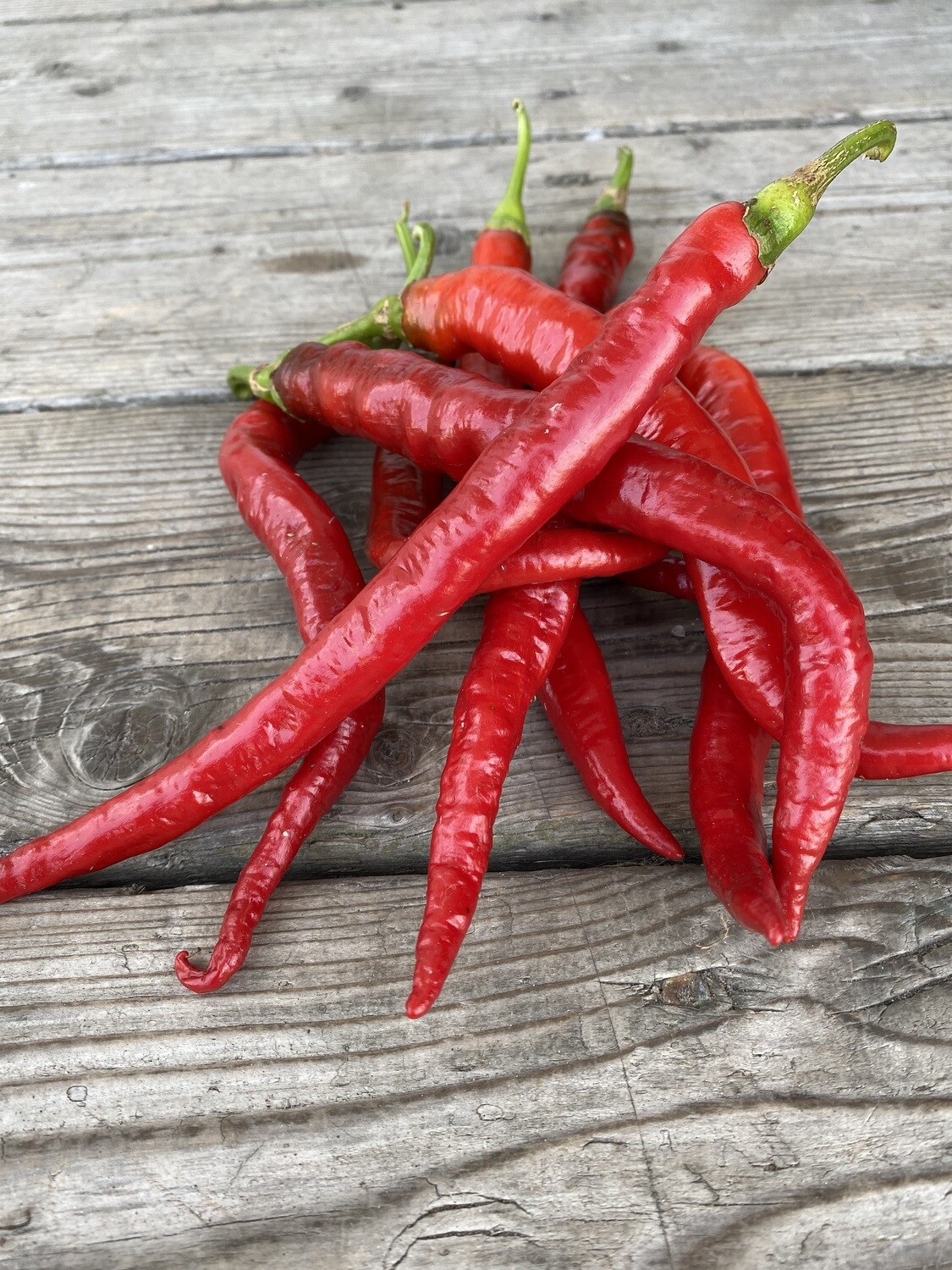 Piment Pepperoncini - Doux et Savoureux | La Famille Artisane