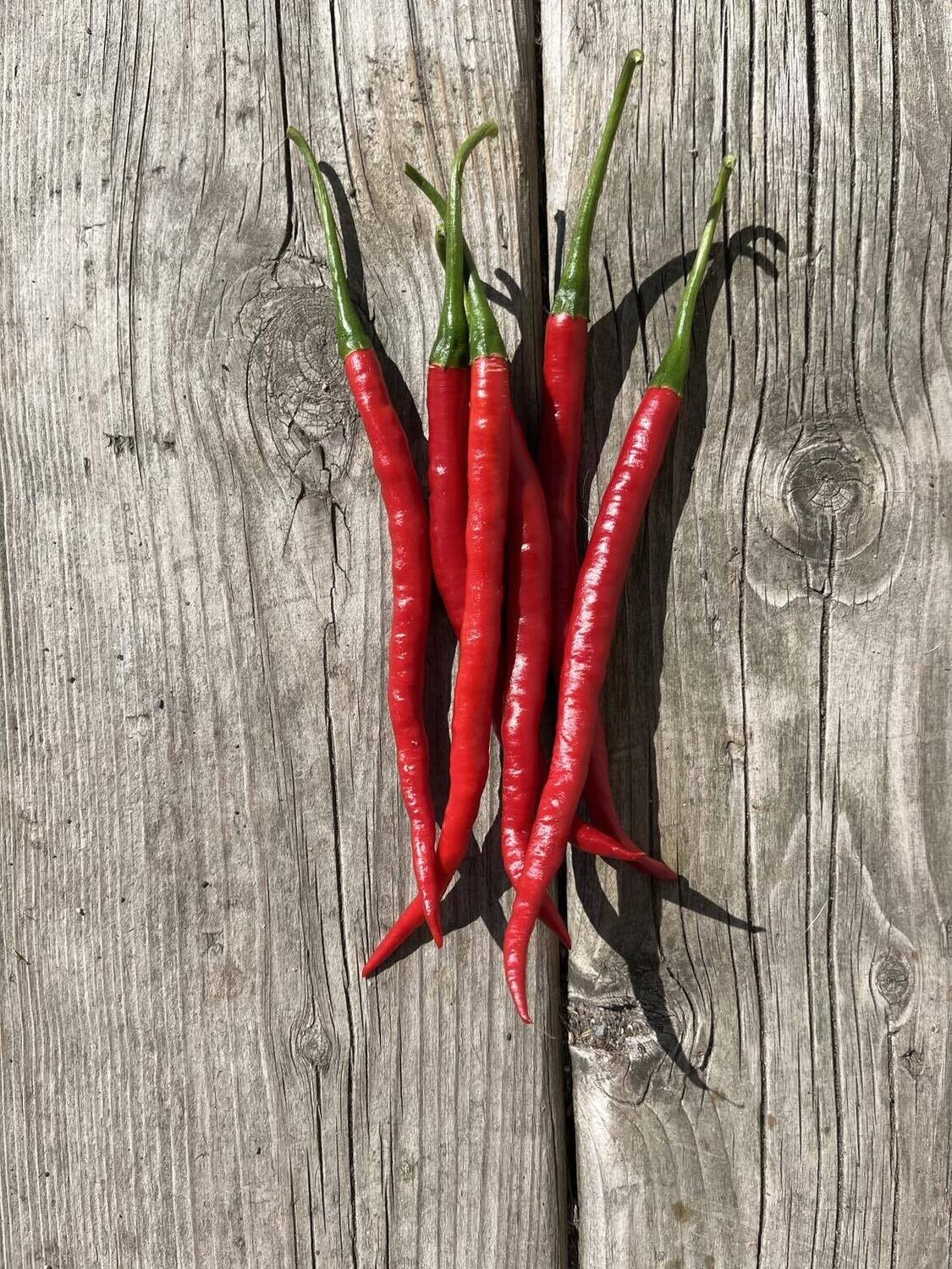 Piment Gong Bao - Épicé et Parfait pour la Cuisine Asiatique | La Famille Artisane