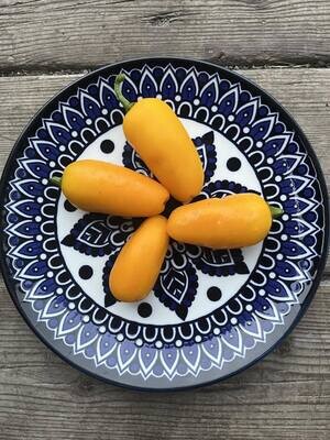 Piment Jalapeño Lemon Spice - Unique et Modérément Piquant | La Famille Artisane