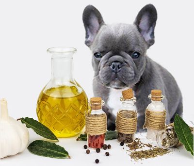 Elixir for Life w/DMSO