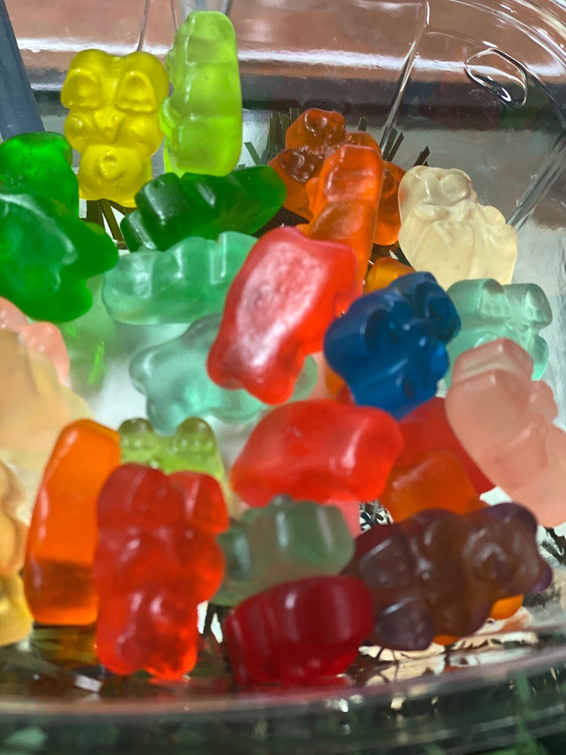 Lucas Gummie bears