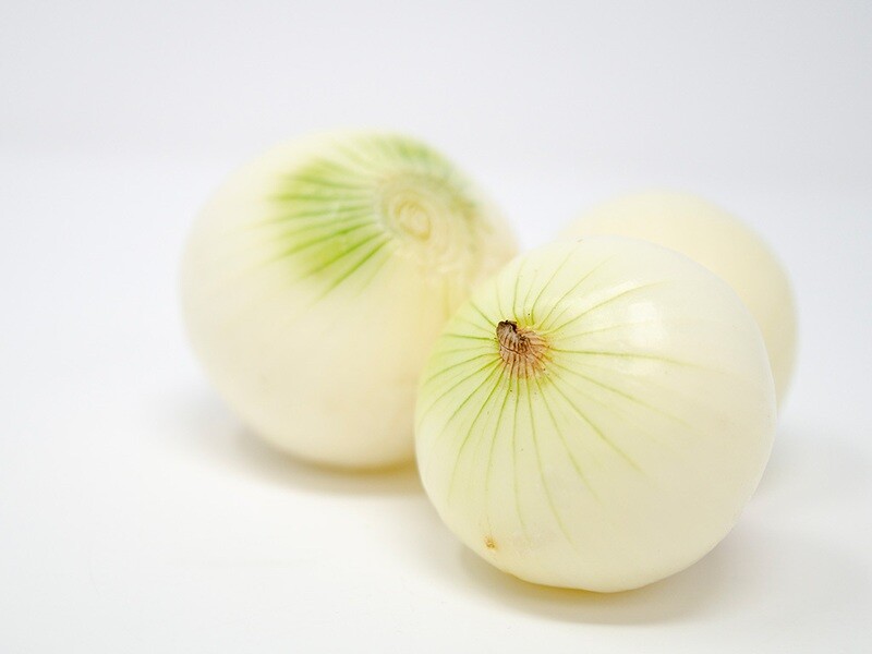 Cebolla Cabezona