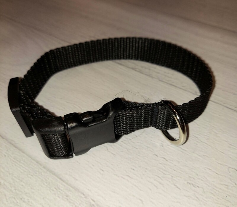 3/4&quot;  Adjustable Dog Collar 