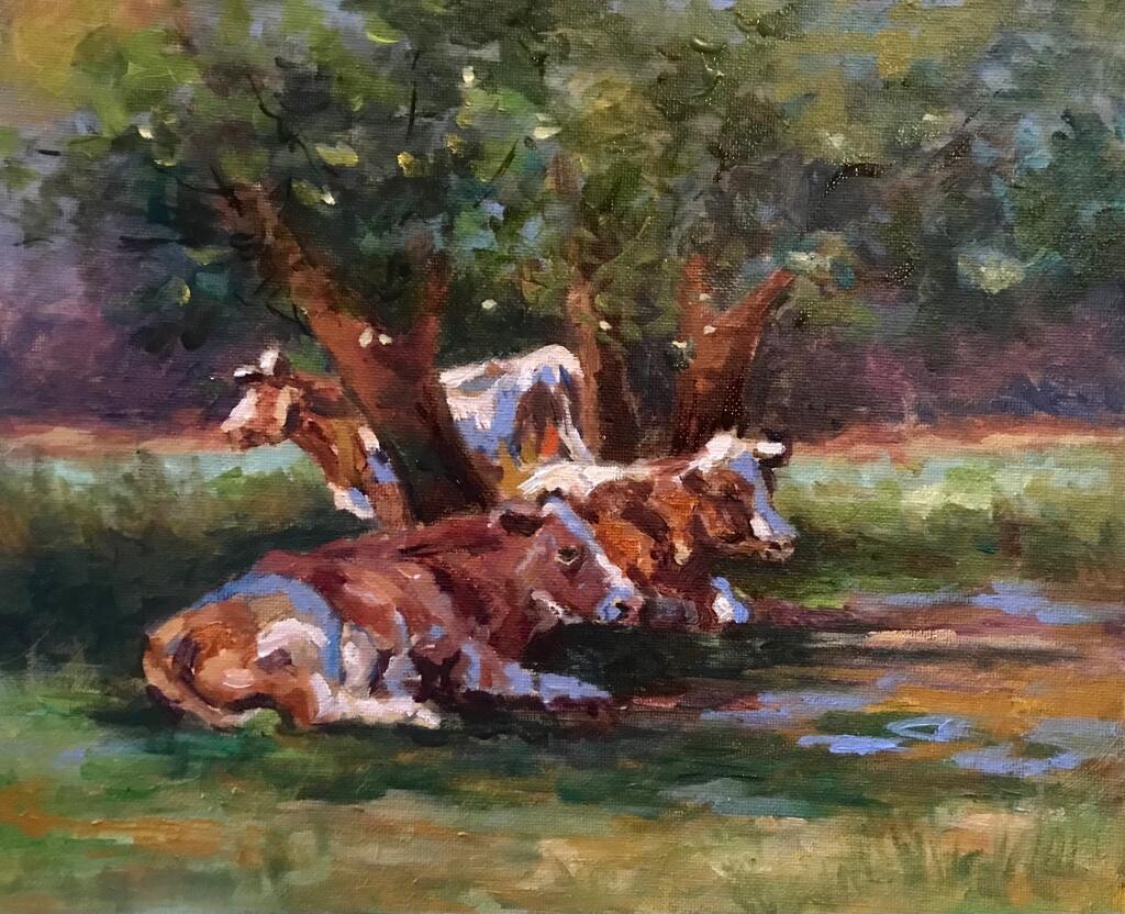Pasture Bedtime (Jacinta Crowley-Long)