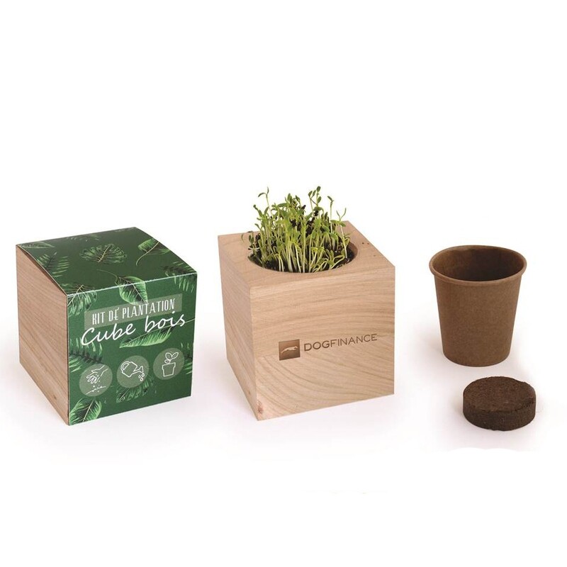 Cube bois Graines à planter
