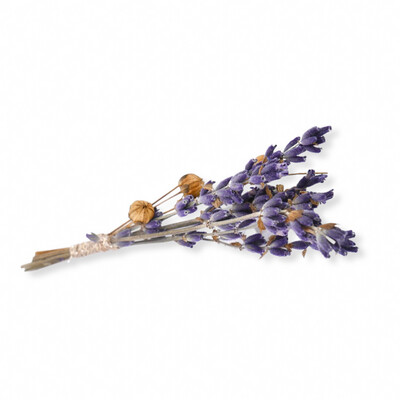 Provence Lavender Scent