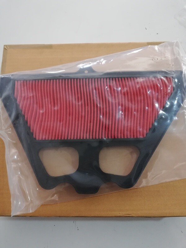 FILTRO ARIA KAWASAKI Z 900 17/20 FILTRO ARIA KAWASAKI Z 900 17/20