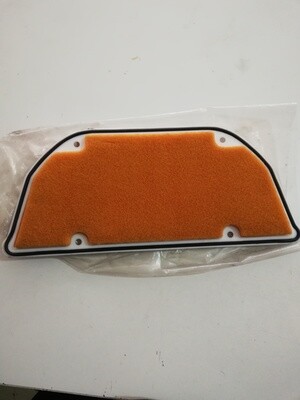 FILTRO ARIA KAWASAKI ZX10 88/90 codice 110131167