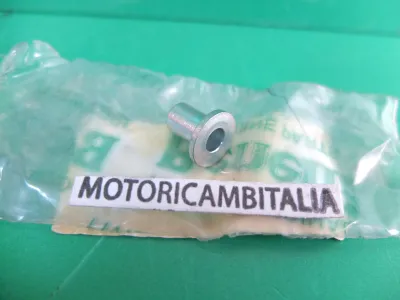 COLLARINO BENELLI COLLARINO BENELLI