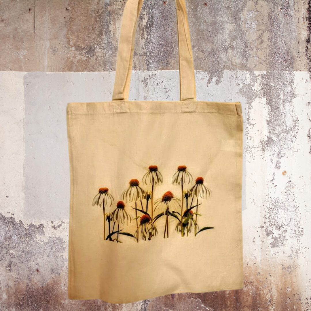 Daisy Flower