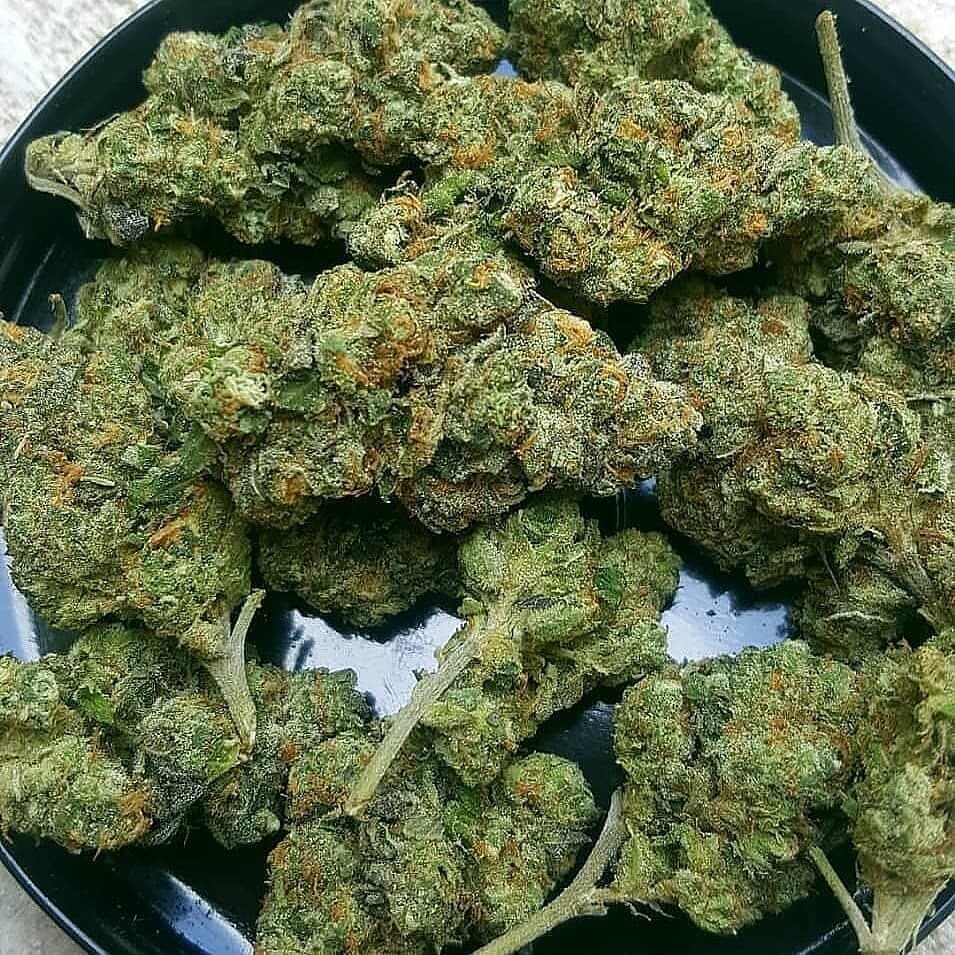 GORILLA GLUE