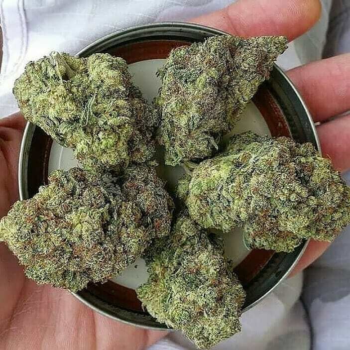 OG KUSH