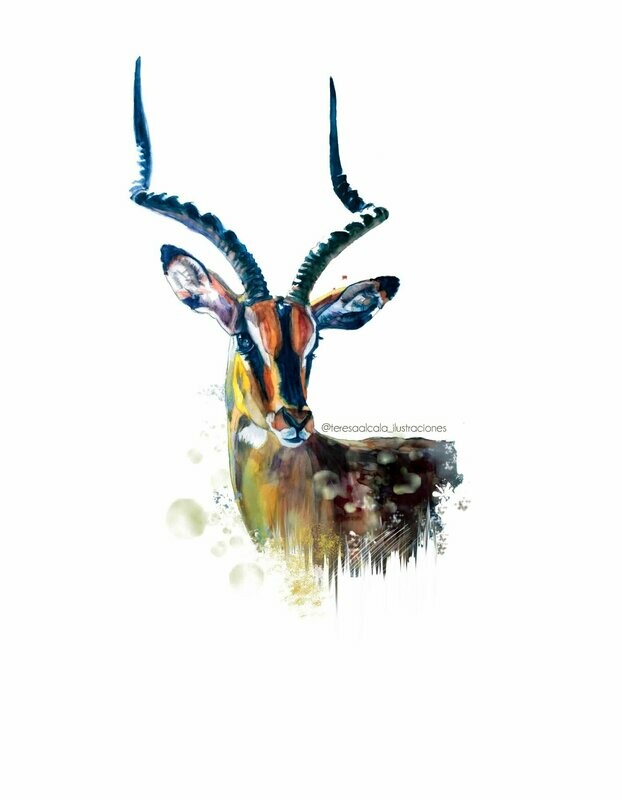 Lámina Impala