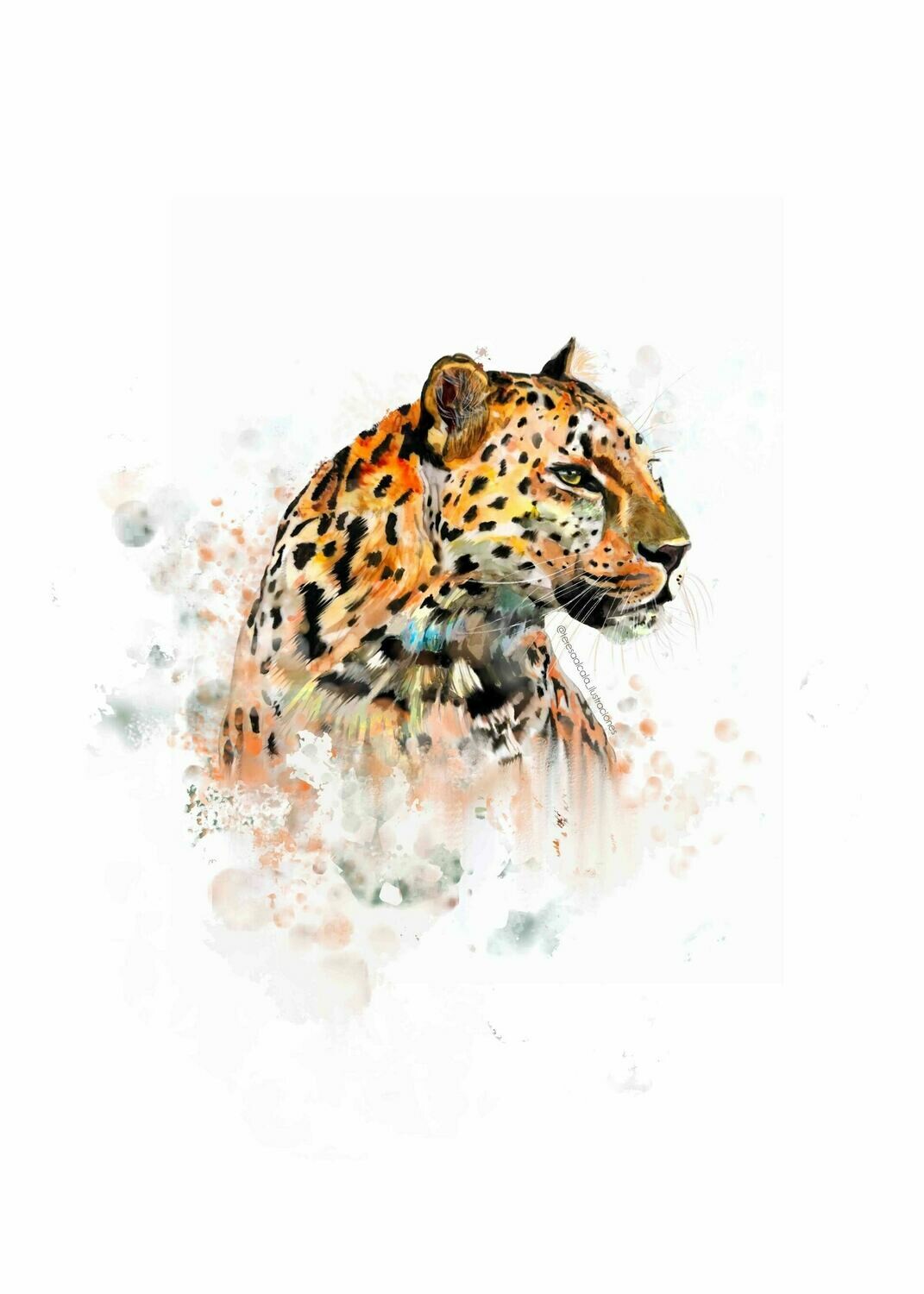 Lámina Leopardo 1