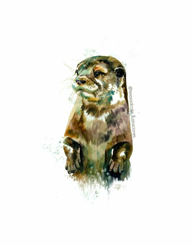 Lámina Nutria