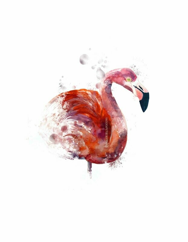 Lámina Flamenco
