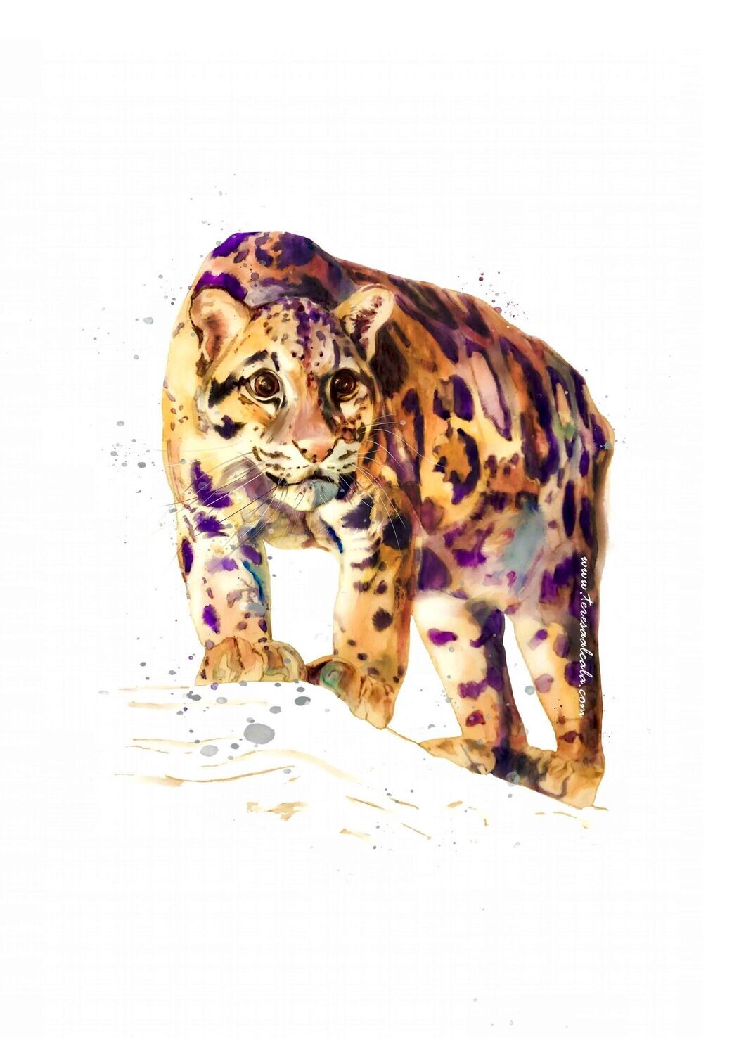 Lámina Leopardo nebulosa
