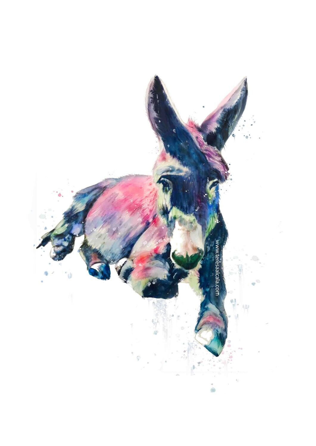 Lámina burro